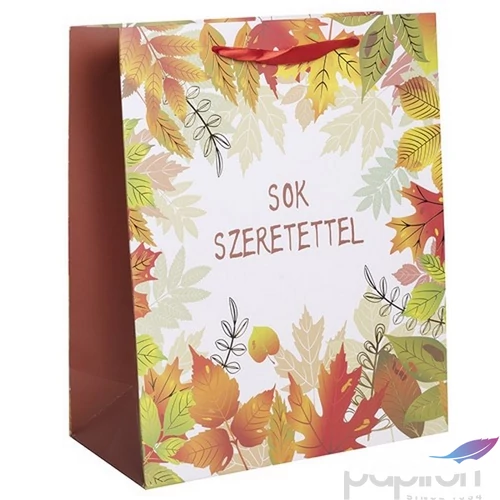Ajándéktasak 18x23cm faleveles Sok szeretettel 370287