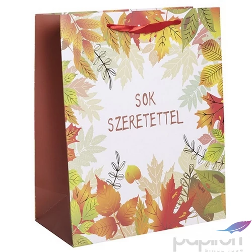 Ajándéktasak 26x32cm ,faleveles Sok szeretettel feliratt 370288