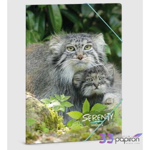 Ars Una Gumis mappa A4 23' Serenity-manul 50213313 350gr vastag kartonból