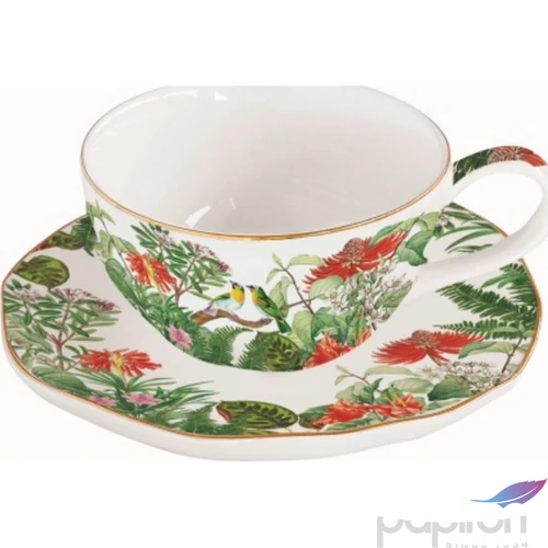 Csésze+alj teás Porcelán 2,5dl Exotica dobozban