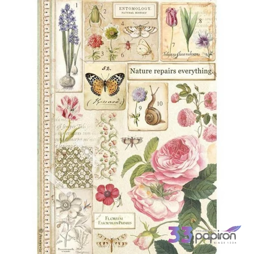 Decoupage rizspapír A4 Botanika DFSA4623