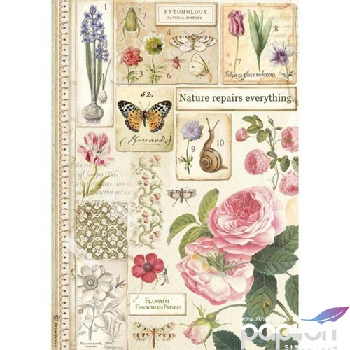 Decoupage rizspapír A4 Botanika DFSA4623