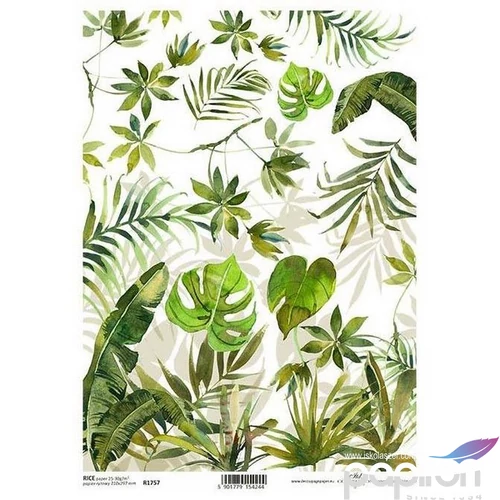 Decoupage rizspapír A4 ITD-R1757, zöld levél mintás