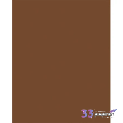 Dekorkarton 2 oldalas 50x70cm 220 g 10 lap FOLIA csokoládé barnaFOLIA