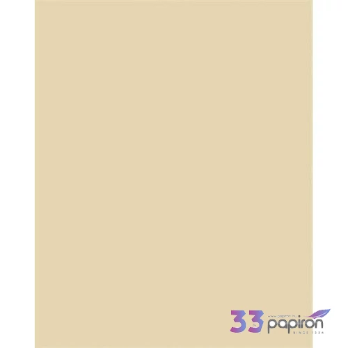 Dekorkarton 2 oldalas 50x70cm 220 g 10lap FOLIA bézslap FOLIA bézs