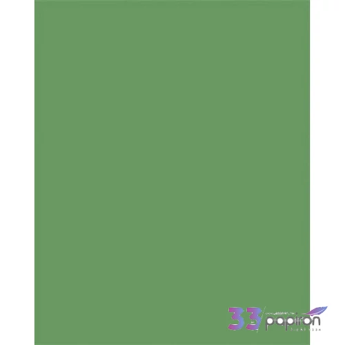 Dekorkarton 2 oldalas 50x70cm 220 g 10lap FOLIA mohazöldlap FOLIA moha