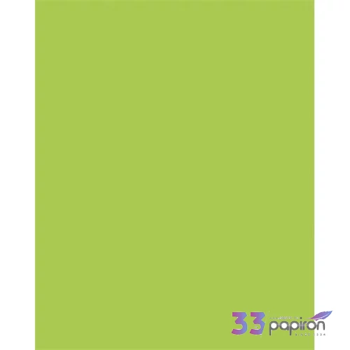 Dekorkarton 2 oldalas 50x70cm 220 g 10lap FOLIA tavaszzöldlap FOLIA ta