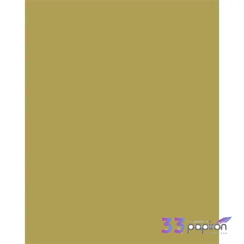 Dekorkarton 2 oldalas 50x70cm 300 g 10lap FOLIA vegyes színek