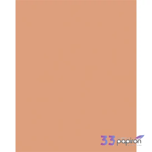 Dekorkarton 2 oldalas A4 300 g 50lap FOLIA lazacszínűlap FOLIA la lap FOLIA lazacszínű