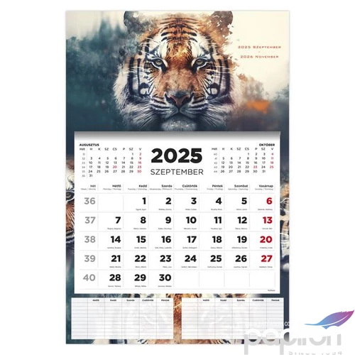 Diák Falinaptár 25 D076 Tiger 16 Havi TopTimer naptár kollekció 26D7620-000