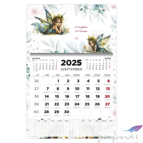Diák Falinaptár 25 D076 Tündér 16 Havi TopTimer naptár kollekció 26D7630-000