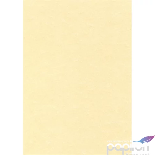 Előnyomott papír A4 95 g, pergamen hatású, APLI, pezsgő