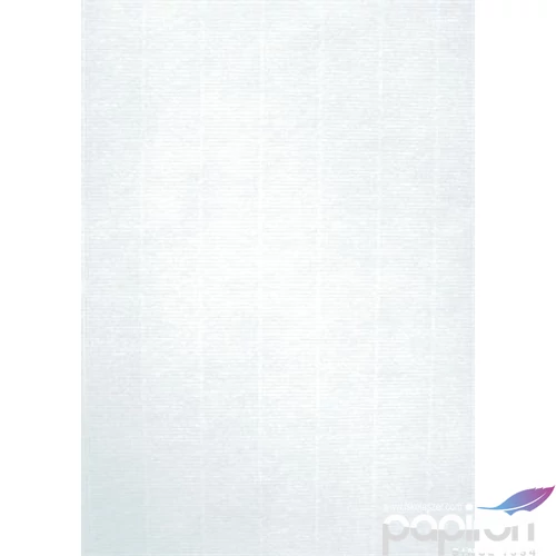 Előnyomott papír A4 Apli törtfehér 200gr Ref.12130 20db/csomag