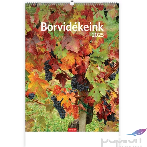 Falinaptár 2025 T093 Borvidékeink Toptimer 2025 kollekció!