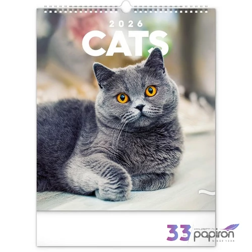 Falinaptár 2026 Cats 6087-CA spirálos 30×34cm Realsystem 2026 kollekció!