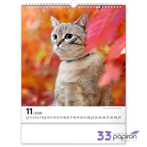 Falinaptár 2026 Cats 6087-CA spirálos 30×34cm Realsystem 2026 kollekció!