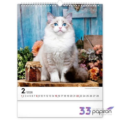 Falinaptár 2026 Cats 6087-CA spirálos 30×34cm Realsystem 2026 kollekció!