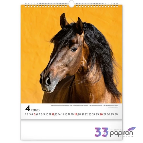 Falinaptár 2026 Horses 6087-HO spirálos 30×34cm Realsystem 2026 kollekció!