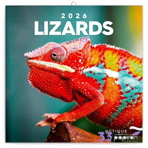 Falinaptár 2026 Lizards 6097-LI lemeznaptár 30×30cm Realsystem 2026 kollekció!
