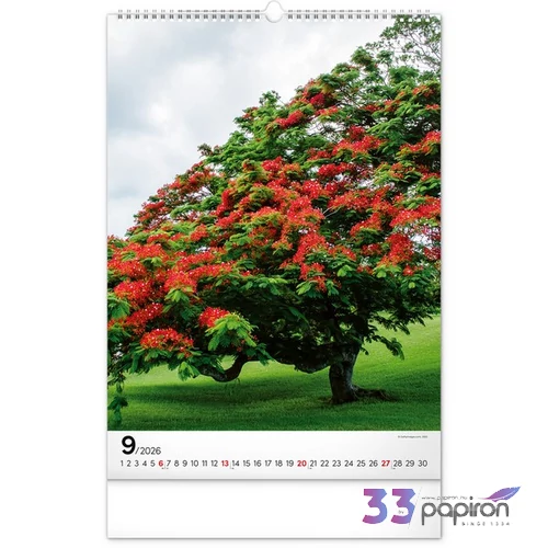 Falinaptár 2026 Trees spirálos 33×46cm Realsystem 2026 kollekció!