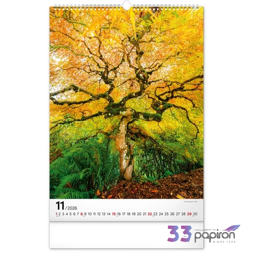 Falinaptár 2026 Trees spirálos 33×46cm Realsystem 2026 kollekció!