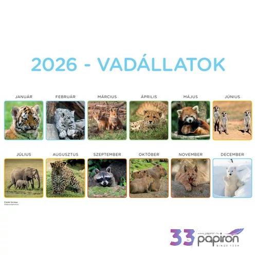 Falinaptár lemez nagy 2026 Vadállatok