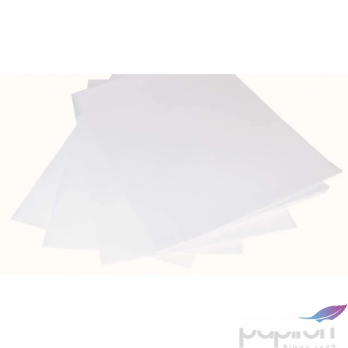Fénymásolópapír A2 XEROX XEROX vágott papír A2 80gr. 500ív/csomag