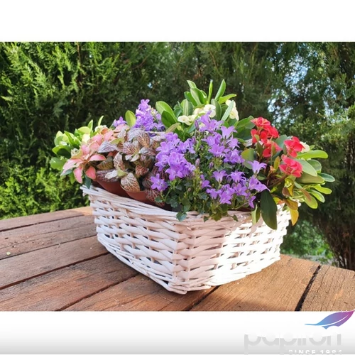 Fonott kockatál fehér Méret: 26*26cm, mag:10cm