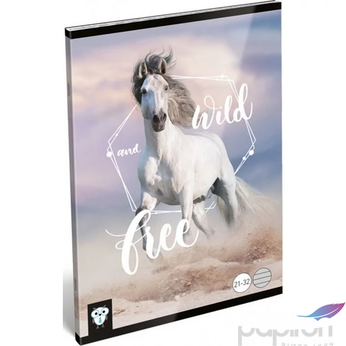 Füzet 21-32 A5 vonalas Lizzy Kis Bagoly Wild and free Lizzy kollekció