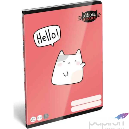 Füzet 27-32 A5 kockás Lizzy Lollipop Kittok Catto Lizzy kollekció