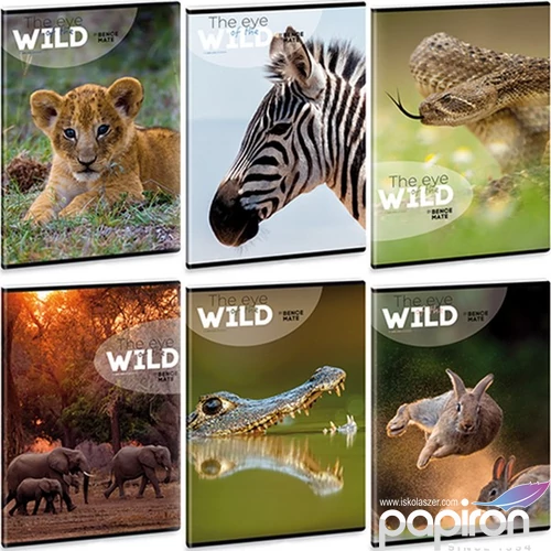 Füzet 27-40 A5 kockás Ars Una Extra kapcsos The Eyes Of The Wild 53141002 prémium füzet négyzethálós