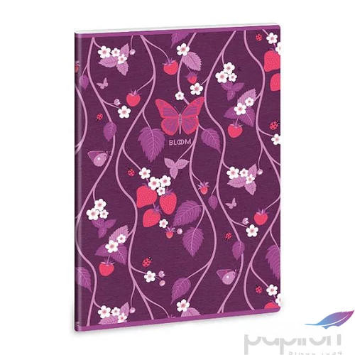 Füzet 87-40 A4 kockás Ars Una Bloom Papillon(5250) 53122506 A/4-es négyzethálós 40lapos 75g