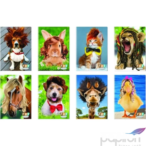 Füzet A4 Blasetti kockás Pet a Porter 80g 42lapos 6325 5M