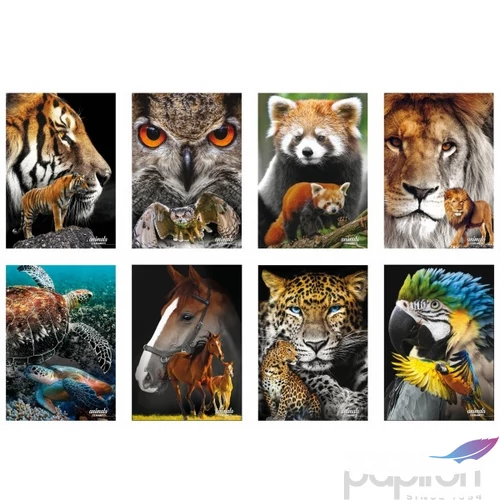 Füzet A4 Blasetti vonalas 80g 42 lapos Animals 8291
