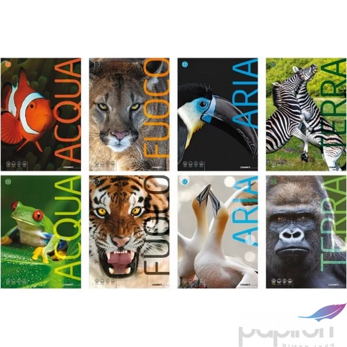 Füzet A4 Blasetti vonalas 100G 38Lap Animali100 7863