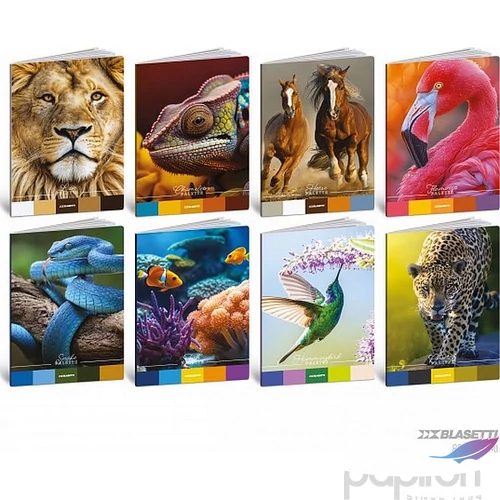 Füzet A4 Blasetti vonalas 80g 42 lapos Animal Planette 8950