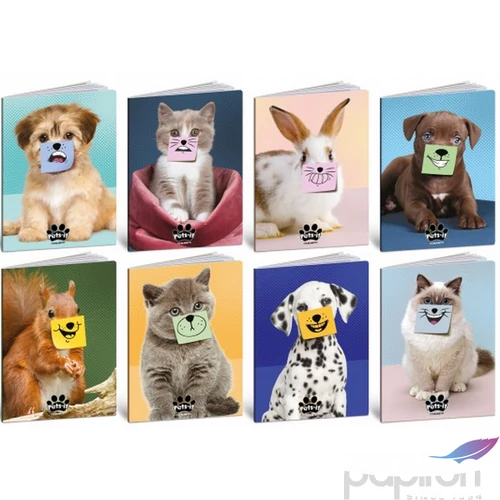 Füzet A4 Blasetti vonalas PETS-IT 42 lap