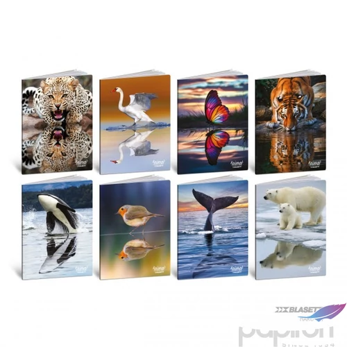 Füzet  A/4 BLASETTI vonalas Animal Mirror Ht 2025 42L Kemény Fedeles9057