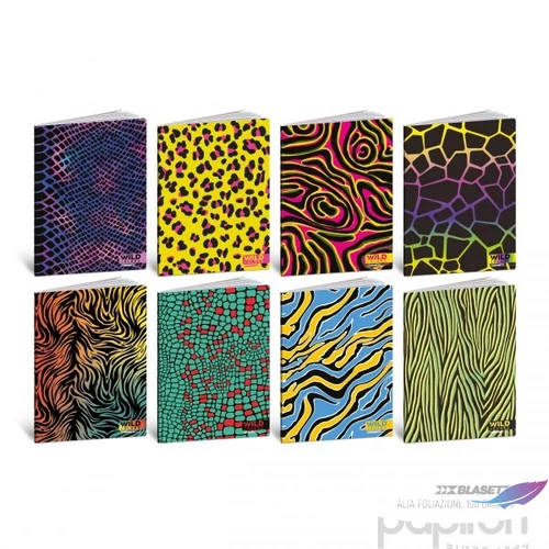 Füzet  A/4 BLASETTI vonalas Wild Colors 2025 50Lap 8897