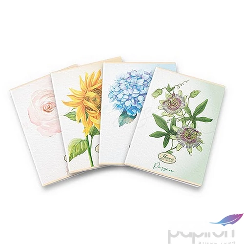 Füzet A/4 Pigna Flower speci A/4 tűzött 42 lapos vonalas margós 02326100C