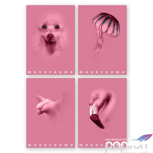Füzet A/4 Pigna Monocromo Pink 50 lapos vonalas