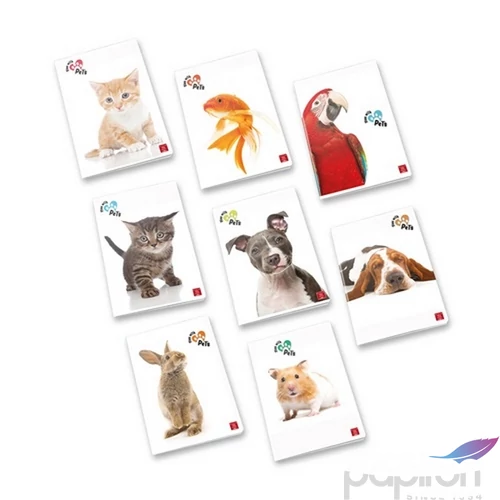 Füzet A/4 Pigna Play with Pets 50 lapos vonalas