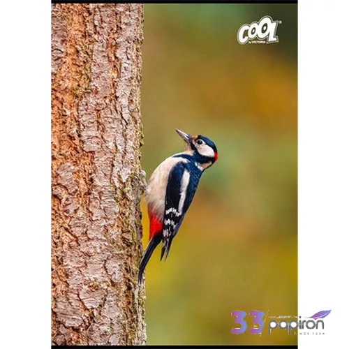 Füzet A4 vonalas 80 lapos Cool by Victoria Birds