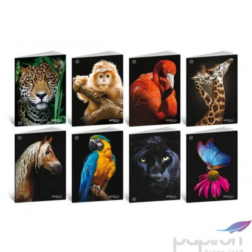 Füzet A4 vonalas Blasetti 100g 38lap ANIMAL BLACK100 8632/1R  [8007758100466]