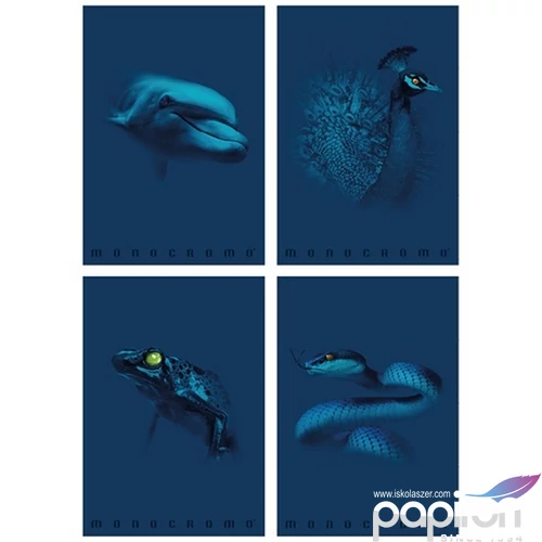 Füzet A4 vonalas Pigna Monocromo Blue 38 lapos vegyes minták