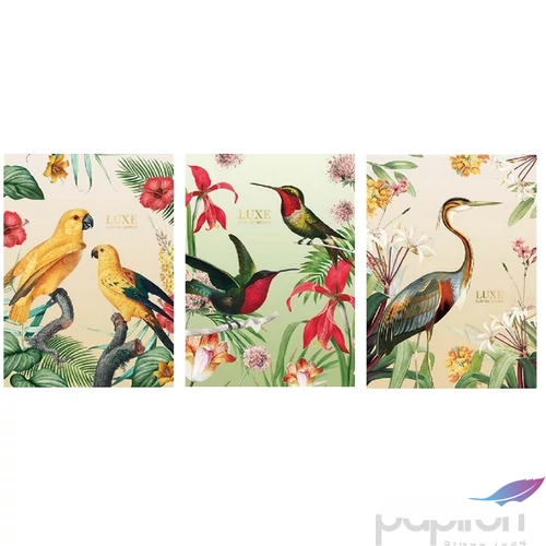Füzet A4 vonalas Shkolyaryk 81-32 40lap Luxe Nature vegyes 81-32
