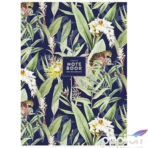 Füzet A4 vonalas Shkolyaryk 81-32 80lap Tropic notebook vegyes minta Irodai füzetek Shkolyaryk A4-080-543L