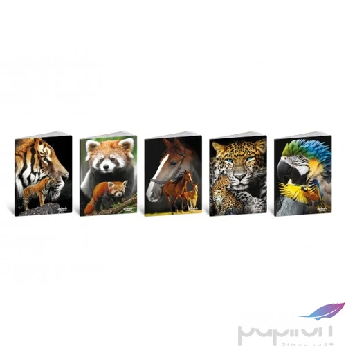 Füzet A5 Blasetti kockás 80g 42 lapos Animal 8441