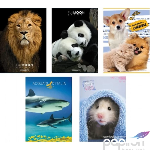 Füzet A5 Blasetti vonalas Animal 80gr 42lapos vonalas 2020 7298/B 0C 1RC