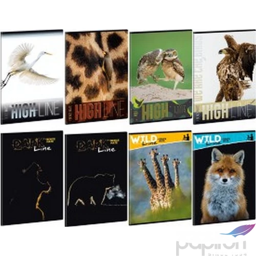 Füzet 27-40 A5 kockás Ars Una Wild life moments 53140296 prémium füzet négyzethálós